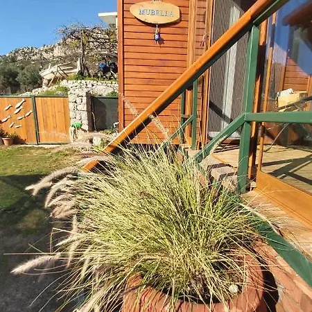 Mubella Butik Tiny House 펜션 *